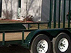 Utility Trailer Details: Utility trailer, Green with 4' Easi-lift gate - Eagle Trailer Company, Lawrence, Kansas, Lawrence, Kansas